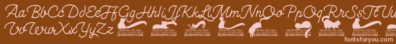 Kittenswashmonolinetrial Font – Pink Fonts on Brown Background