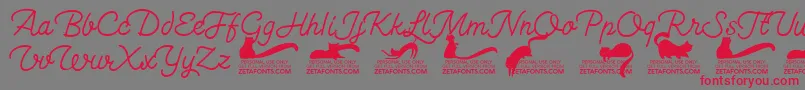 Kittenswashmonolinetrial Font – Red Fonts on Gray Background