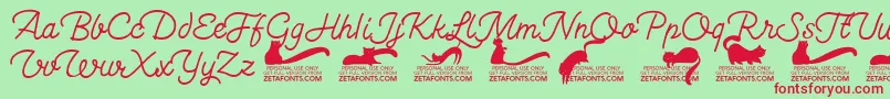 Kittenswashmonolinetrial Font – Red Fonts on Green Background