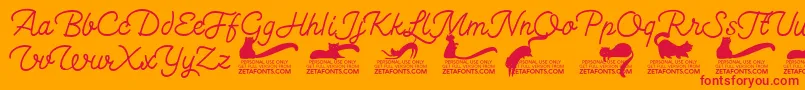 Kittenswashmonolinetrial Font – Red Fonts on Orange Background
