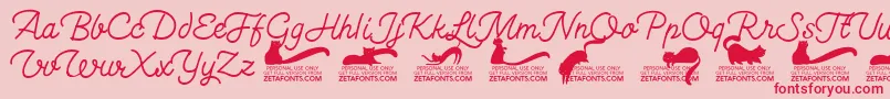 Kittenswashmonolinetrial Font – Red Fonts on Pink Background