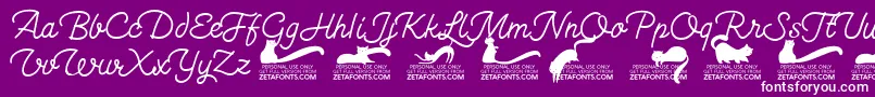 Kittenswashmonolinetrial Font – White Fonts on Purple Background