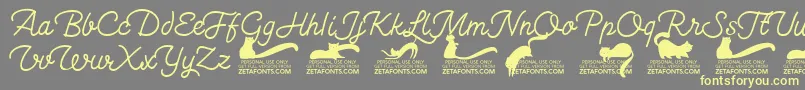 Kittenswashmonolinetrial Font – Yellow Fonts on Gray Background