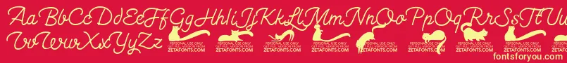 Kittenswashmonolinetrial Font – Yellow Fonts on Red Background