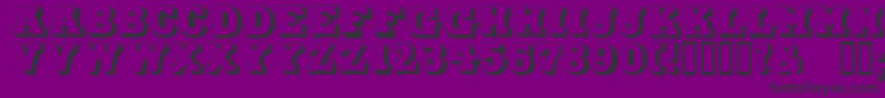 DuoLicht Font – Black Fonts on Purple Background