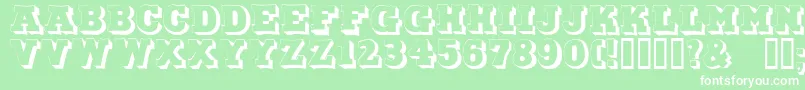 DuoLicht Font – White Fonts on Green Background