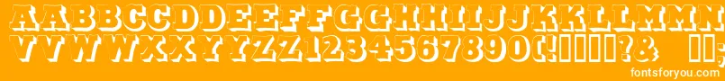 DuoLicht Font – White Fonts on Orange Background