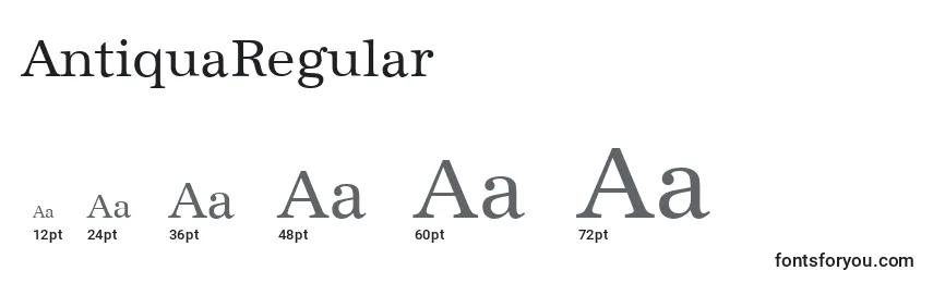 Размеры шрифта AntiquaRegular