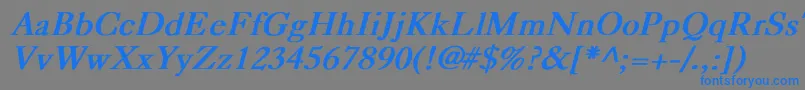 フォントCaslonBoldItalic – 灰色の背景に青い文字