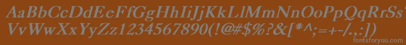 CaslonBoldItalic Font – Gray Fonts on Brown Background