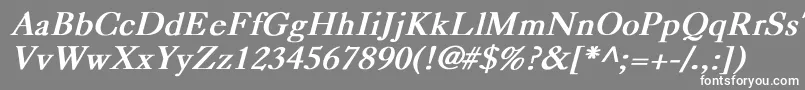 フォントCaslonBoldItalic – 灰色の背景に白い文字