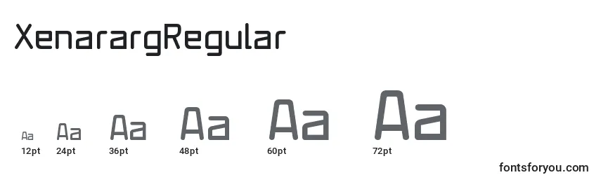 Размеры шрифта XenarargRegular
