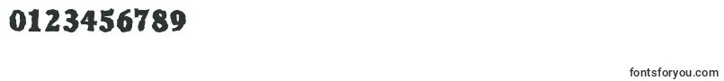 CalgaryrandomHeavyRegular Font – Fonts for Numbers and Digits