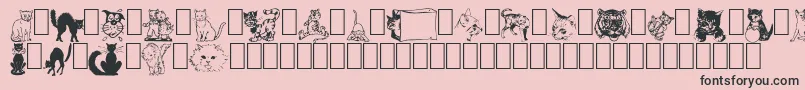 Saiba mais sobre a fonte NewDingcats Fonte NewDingcats – fontes pretas em um fundo rosa