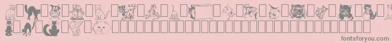 NewDingcats Font – Gray Fonts on Pink Background