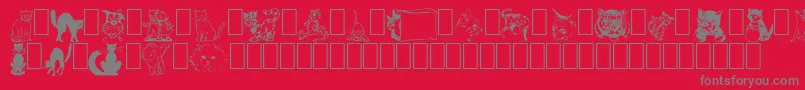 NewDingcats Font – Gray Fonts on Red Background