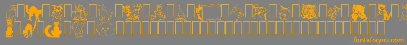 NewDingcats Font – Orange Fonts on Gray Background