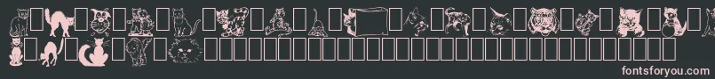 More about NewDingcats Font NewDingcats Font – Pink Fonts on Black Background