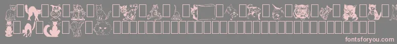 En savoir plus sur la police NewDingcats Police NewDingcats – polices roses sur fond gris