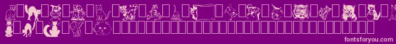 NewDingcats Font – Pink Fonts on Purple Background