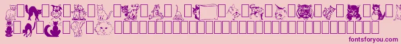 NewDingcats Font – Purple Fonts on Pink Background
