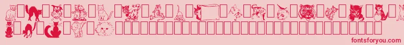 NewDingcats-Schriftart – Rote Schriften auf rosa Hintergrund