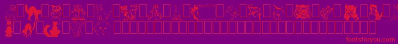 NewDingcats Font – Red Fonts on Purple Background