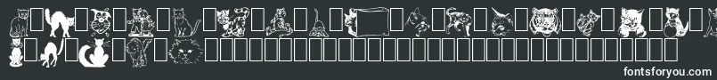フォントNewDingcats – 黒い背景に白い文字