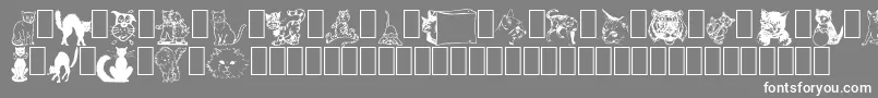 fuente NewDingcats – Fuentes Blancas Sobre Fondo Gris