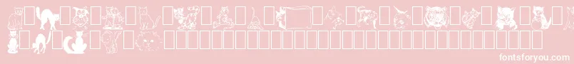 NewDingcats-Schriftart – Weiße Schriften auf rosa Hintergrund