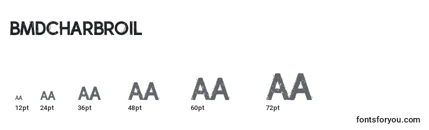 BmdCharbroil Font Sizes