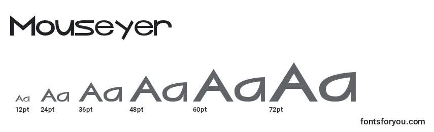 Mouseyer Font Sizes