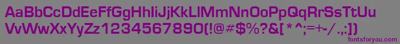 EuroseRegular Font – Purple Fonts on Gray Background