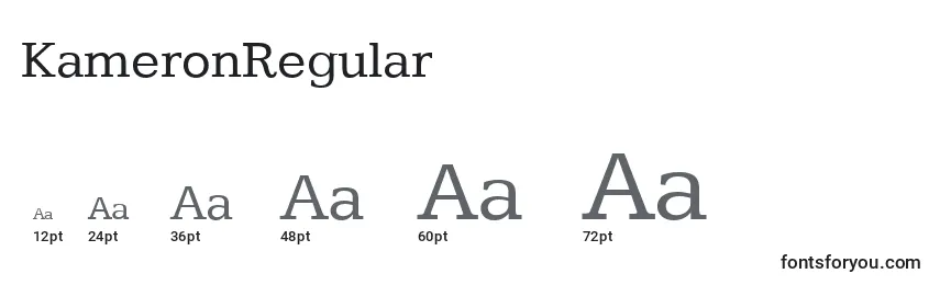 Размеры шрифта KameronRegular