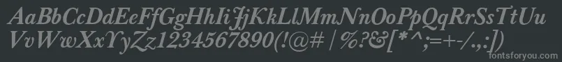 BaskervilleClassicoBolditalic Font – Gray Fonts on Black Background
