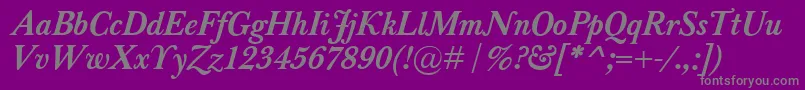 BaskervilleClassicoBolditalic Font – Gray Fonts on Purple Background