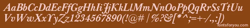 BaskervilleClassicoBolditalic Font – Pink Fonts on Brown Background