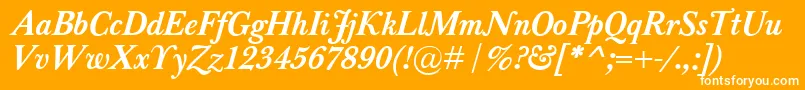 BaskervilleClassicoBolditalic Font – White Fonts on Orange Background