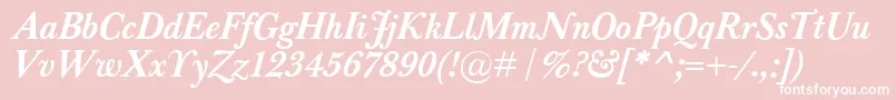 BaskervilleClassicoBolditalic Font – White Fonts on Pink Background