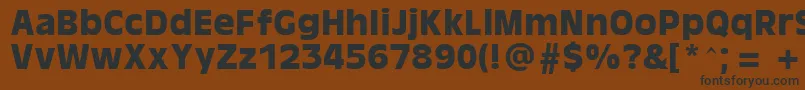 AntiqueOaklandBold Font – Black Fonts on Brown Background