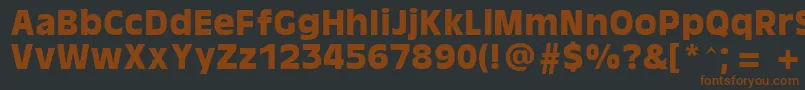 AntiqueOaklandBold Font – Brown Fonts on Black Background
