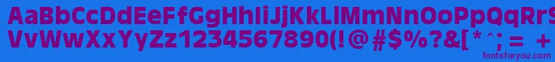 AntiqueOaklandBold Font – Purple Fonts on Blue Background