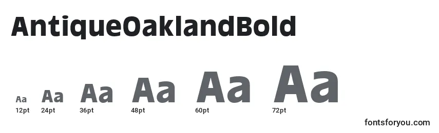 Размеры шрифта AntiqueOaklandBold