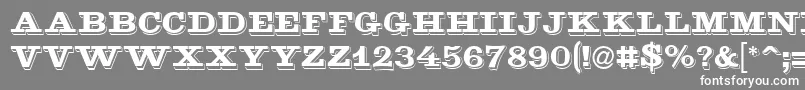 フォントGoldmine – 灰色の背景に白い文字