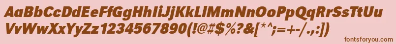 UrwgrotesktextnarBoldOblique Font – Brown Fonts on Pink Background