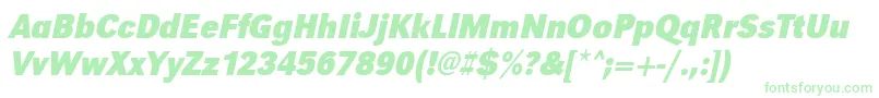 UrwgrotesktextnarBoldOblique Font – Green Fonts on White Background