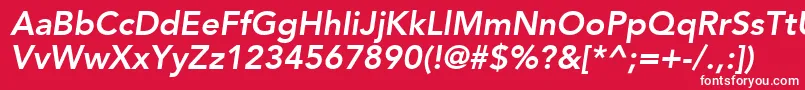 フォントExpoSsiBoldItalic – 赤い背景に白い文字