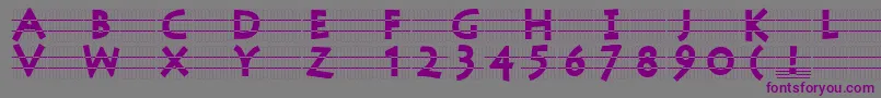 フォントStonecapsingrid – 紫色のフォント、灰色の背景