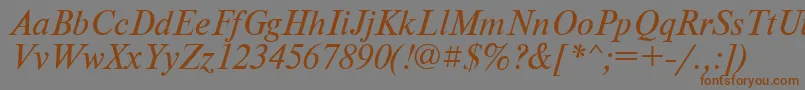 PtNewtonItalicCyrillic Font – Brown Fonts on Gray Background