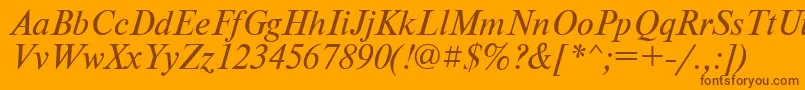 PtNewtonItalicCyrillic Font – Brown Fonts on Orange Background